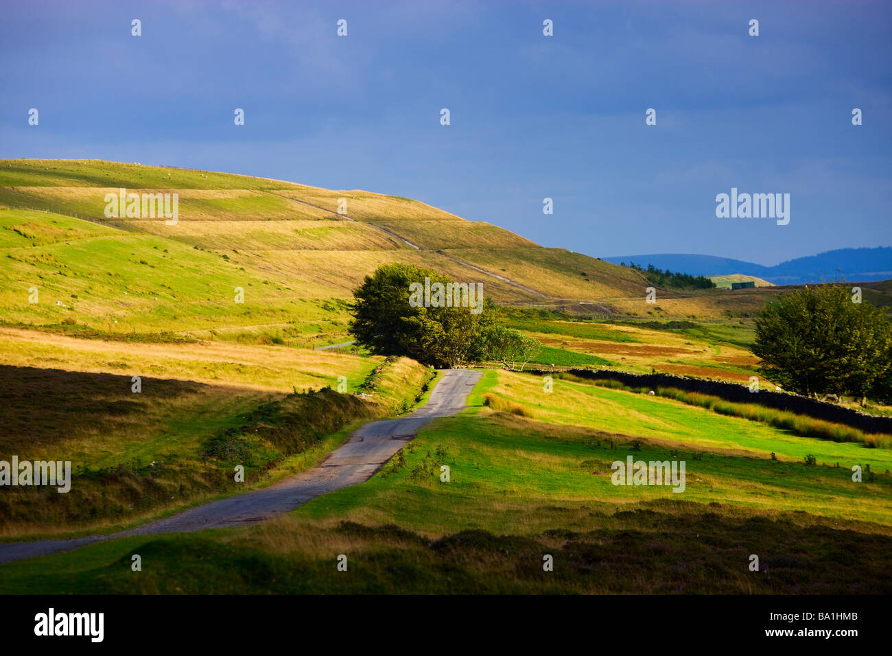 Paysage rural Cefn Manmoel Ebbw Vale Blaenau Gwent South East Wales Banque D'Images