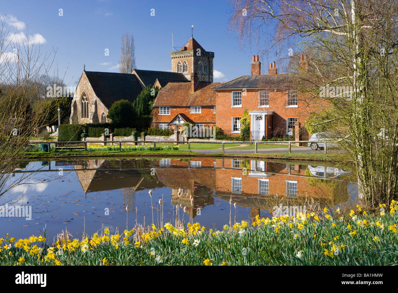 Chiddingfold, étang du village et des jonquilles, Surrey, UK Banque D'Images