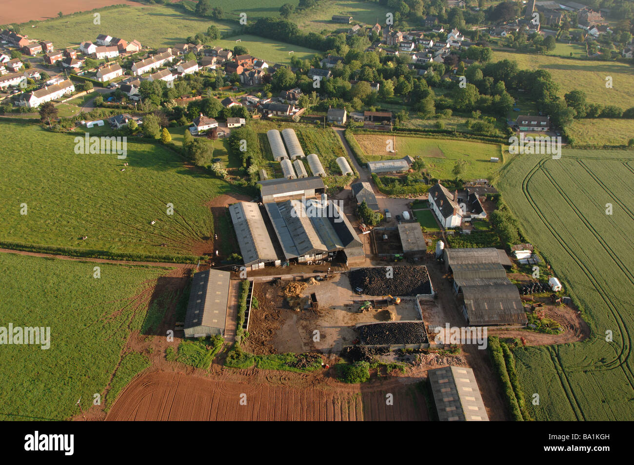 Vue aérienne de grande ferme laitière de plaine probablement près de Halberton Village de Mid Devon Banque D'Images
