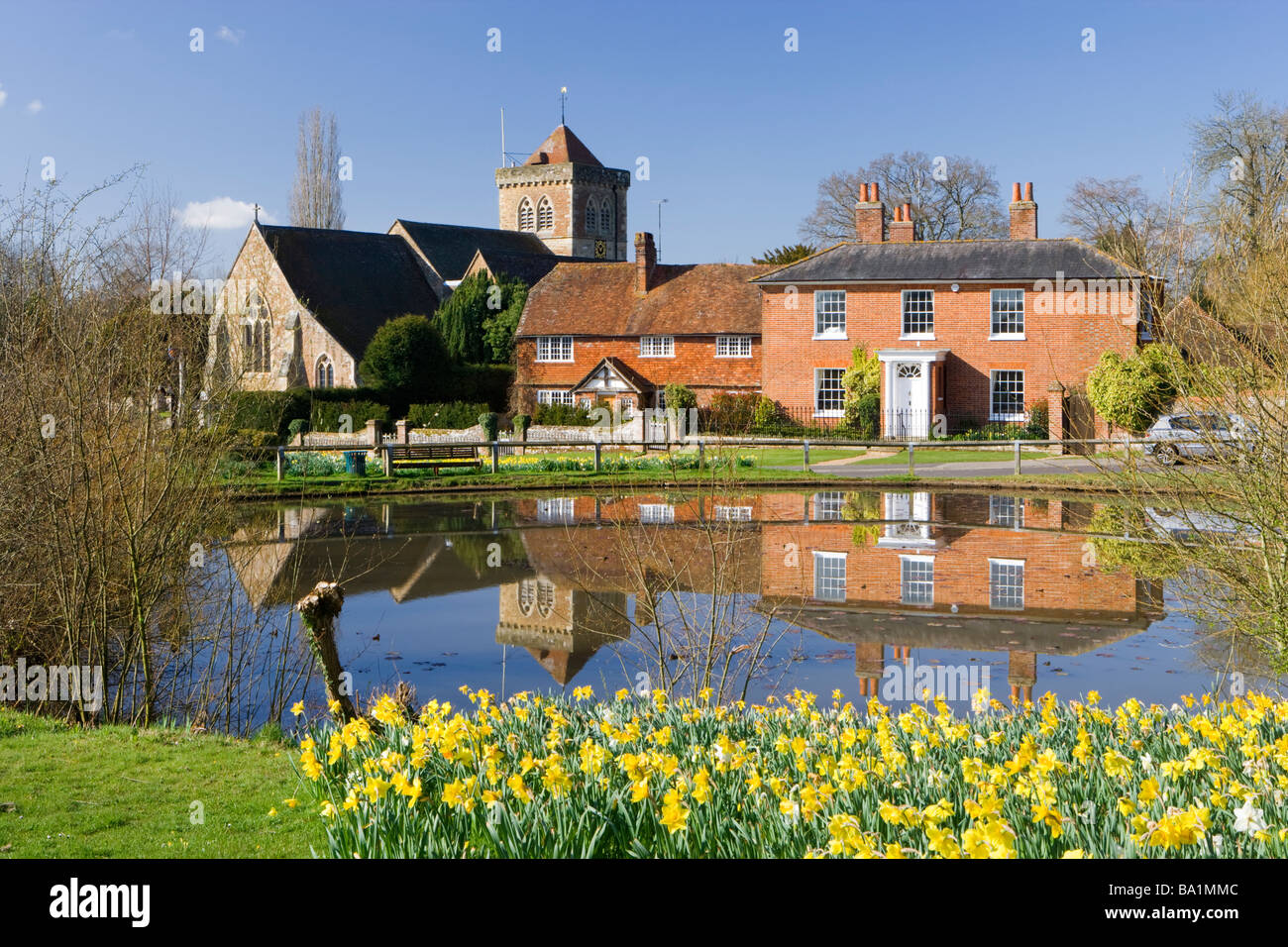 Chiddingfold, étang du village et des jonquilles, Surrey, UK Banque D'Images