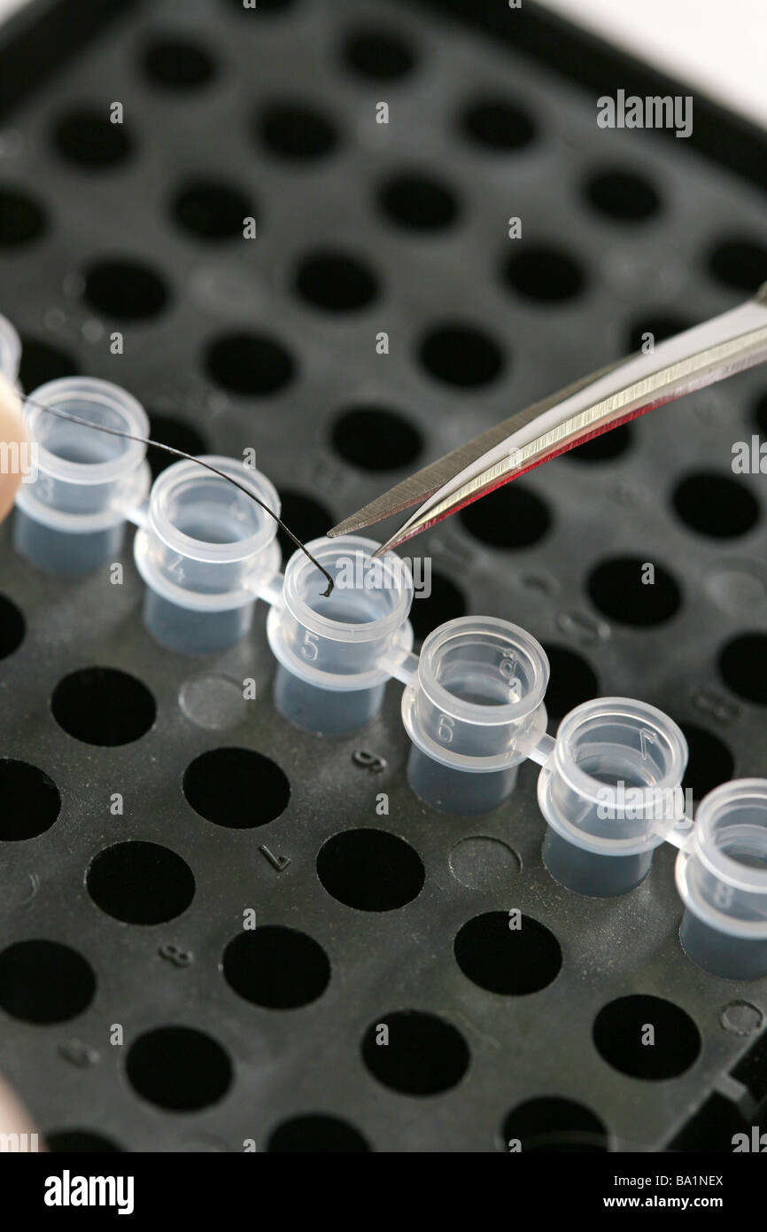 La recherche scientifique génome génétique biotechnologie recherche Laboratoire de biologie moléculaire de la séquence d'ADN dans un tube d'échantillonnage de pipette Banque D'Images