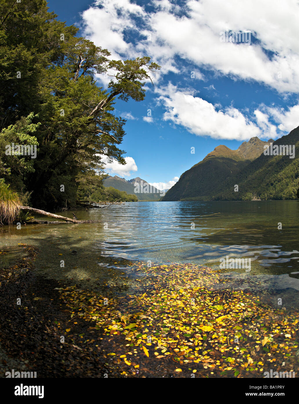 Lake Gunn, Fordland, Nouvelle-Zélande Banque D'Images