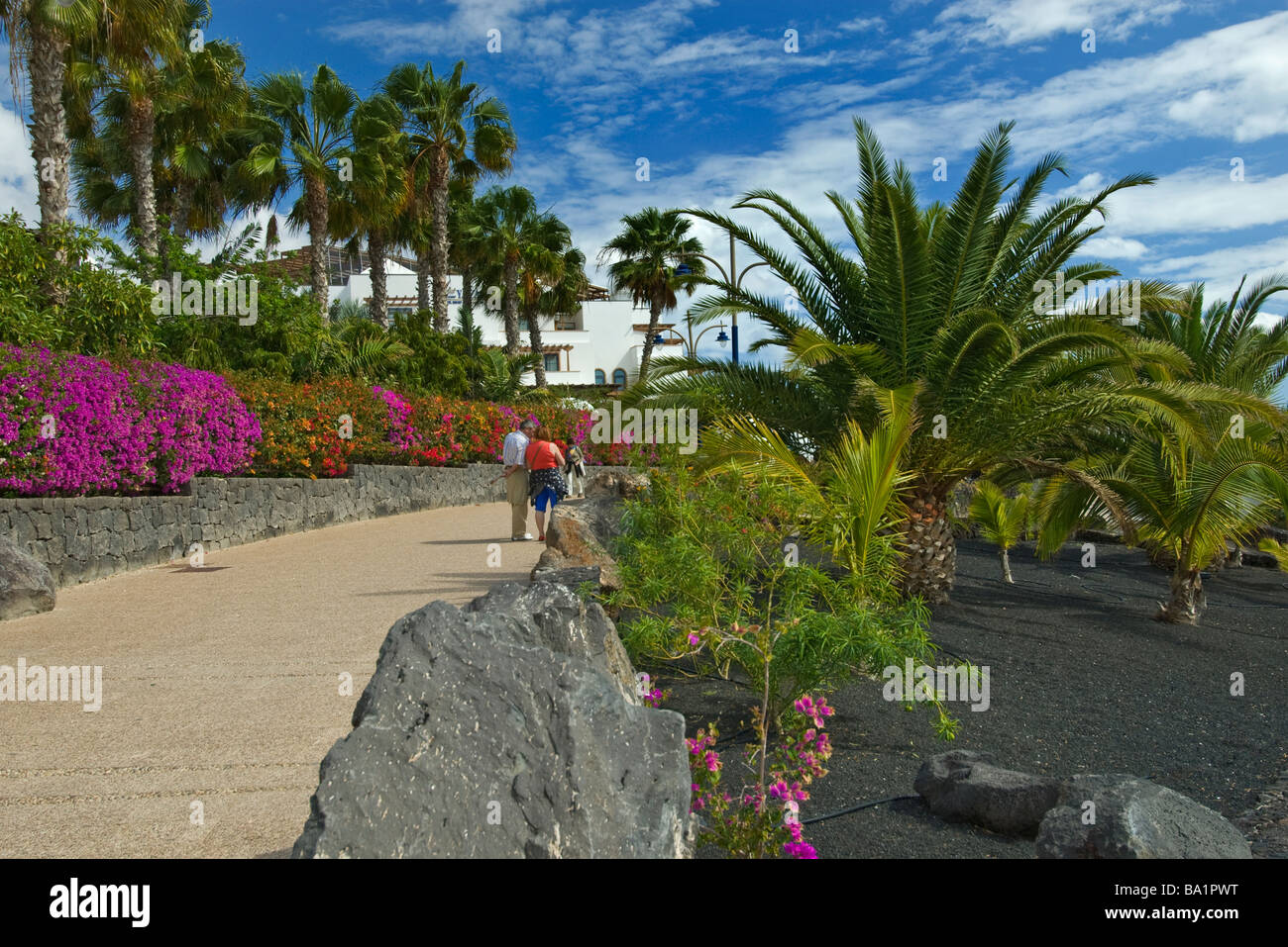 La promenade bordée de bougainvilliers colorés et de palmiers avec des promeneurs, Playa Blanca Lanzarote Iles Canaries Espagne Banque D'Images