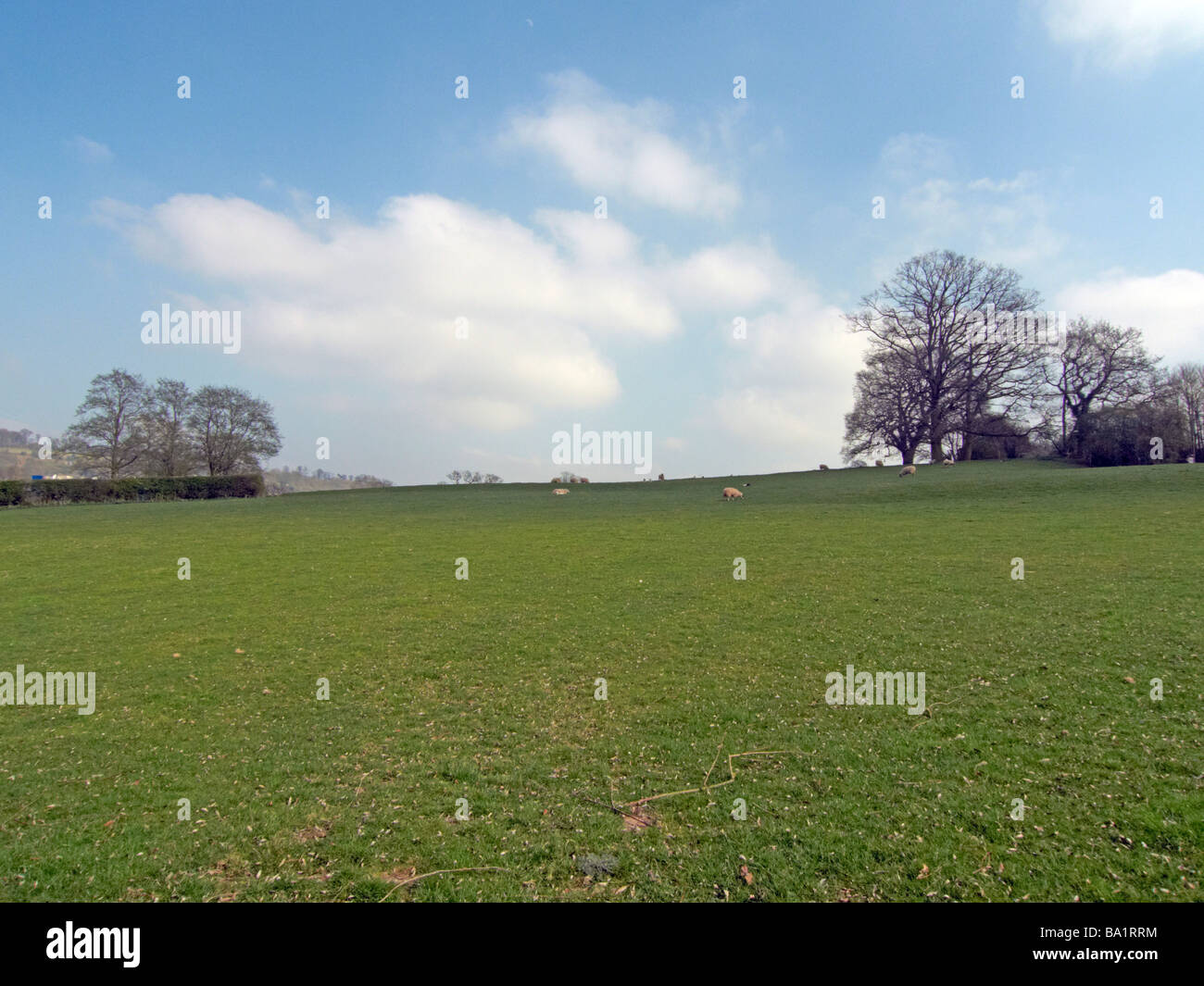 Domaine agricole dans le Herefordshire campagne Banque D'Images