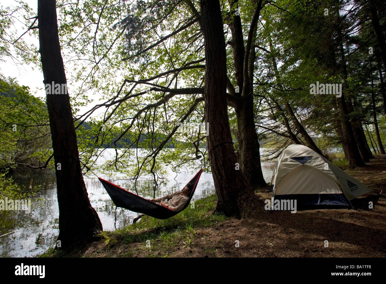 Tente et hamac - Moran State Park, Orcas Island, Washington Banque D'Images