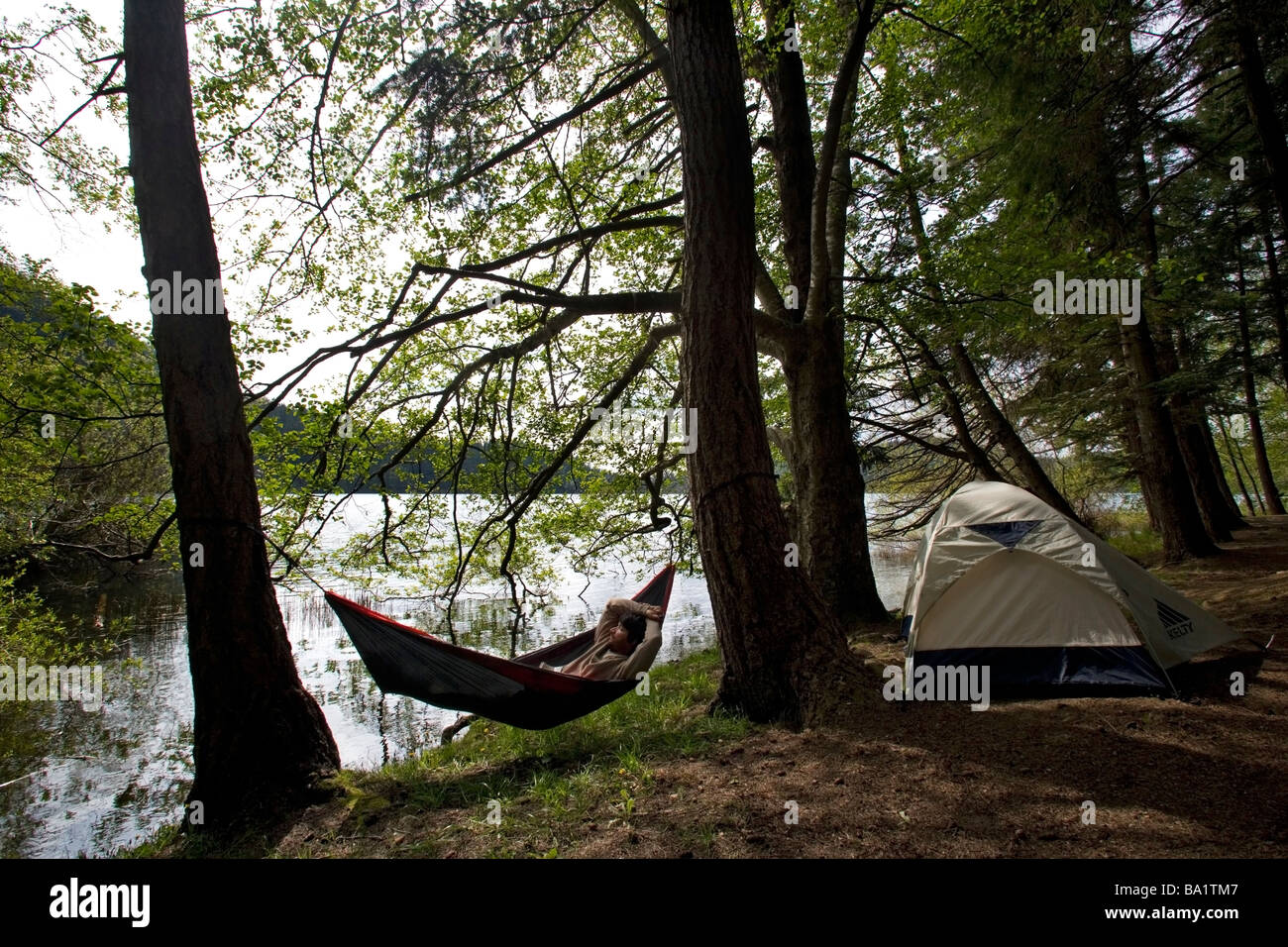 Tente et hamac - Moran State Park, Orcas Island, Washington Banque D'Images