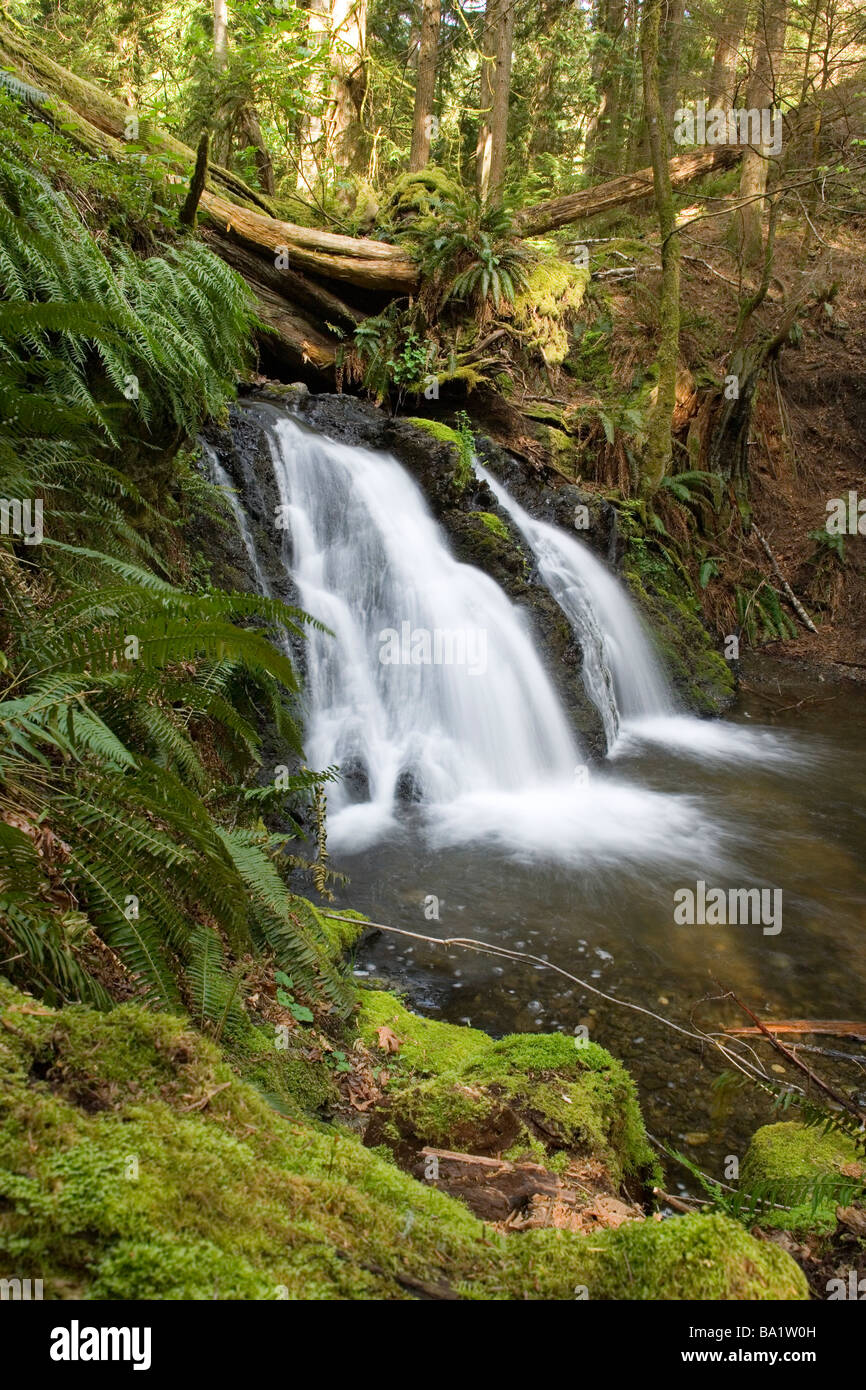 Waterfall - Moran State Park - Orcas Island, Washington USA Banque D'Images