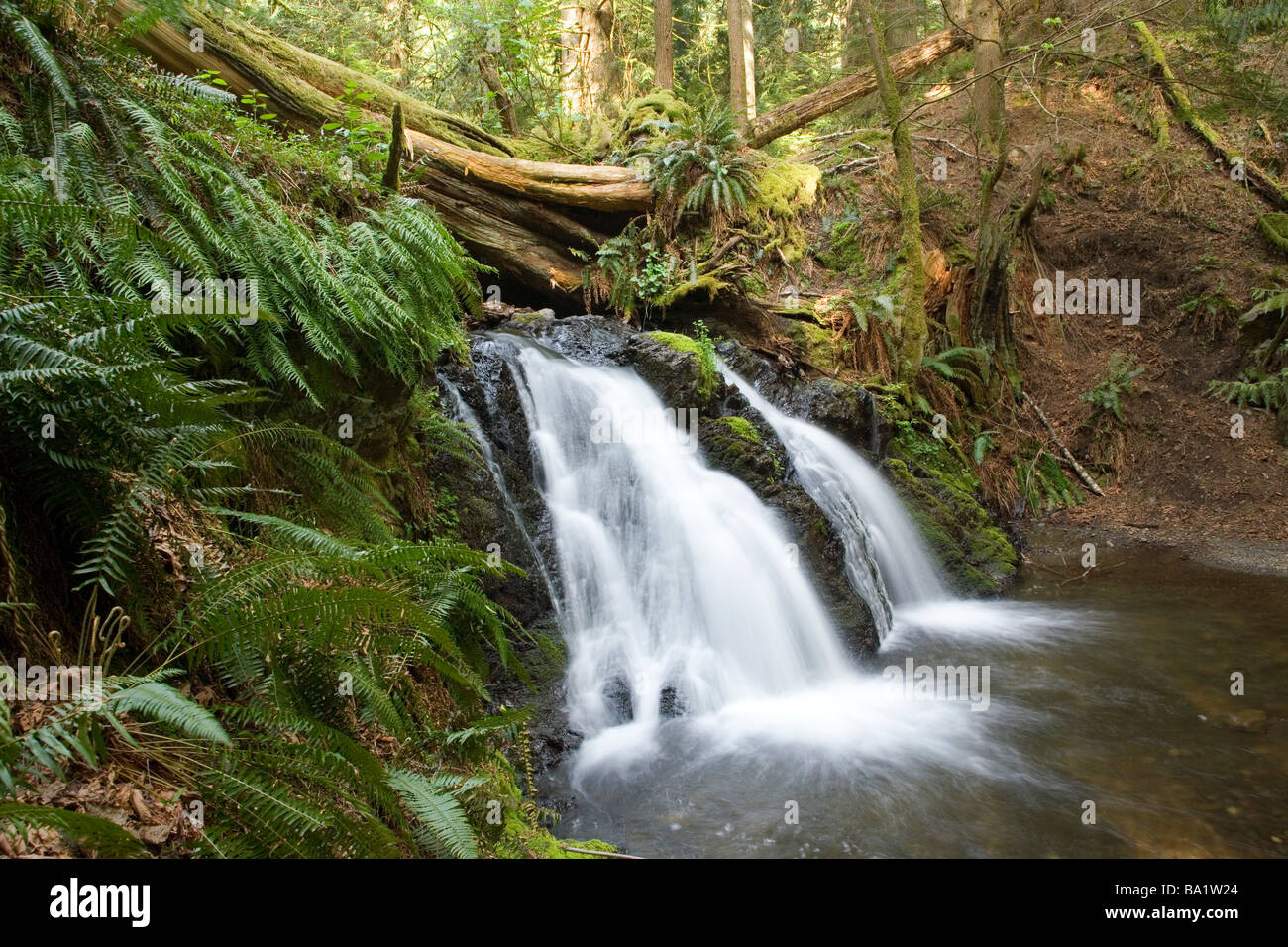Waterfall - Moran State Park, Orcas Island, Washington Banque D'Images