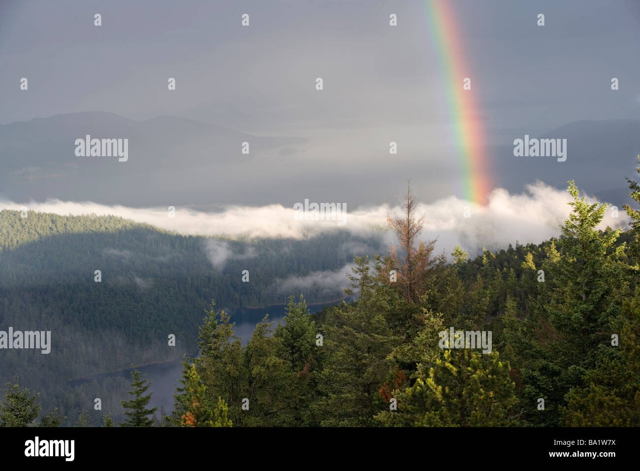 Arc-en-ciel sur l'île Orcas, Washington Banque D'Images