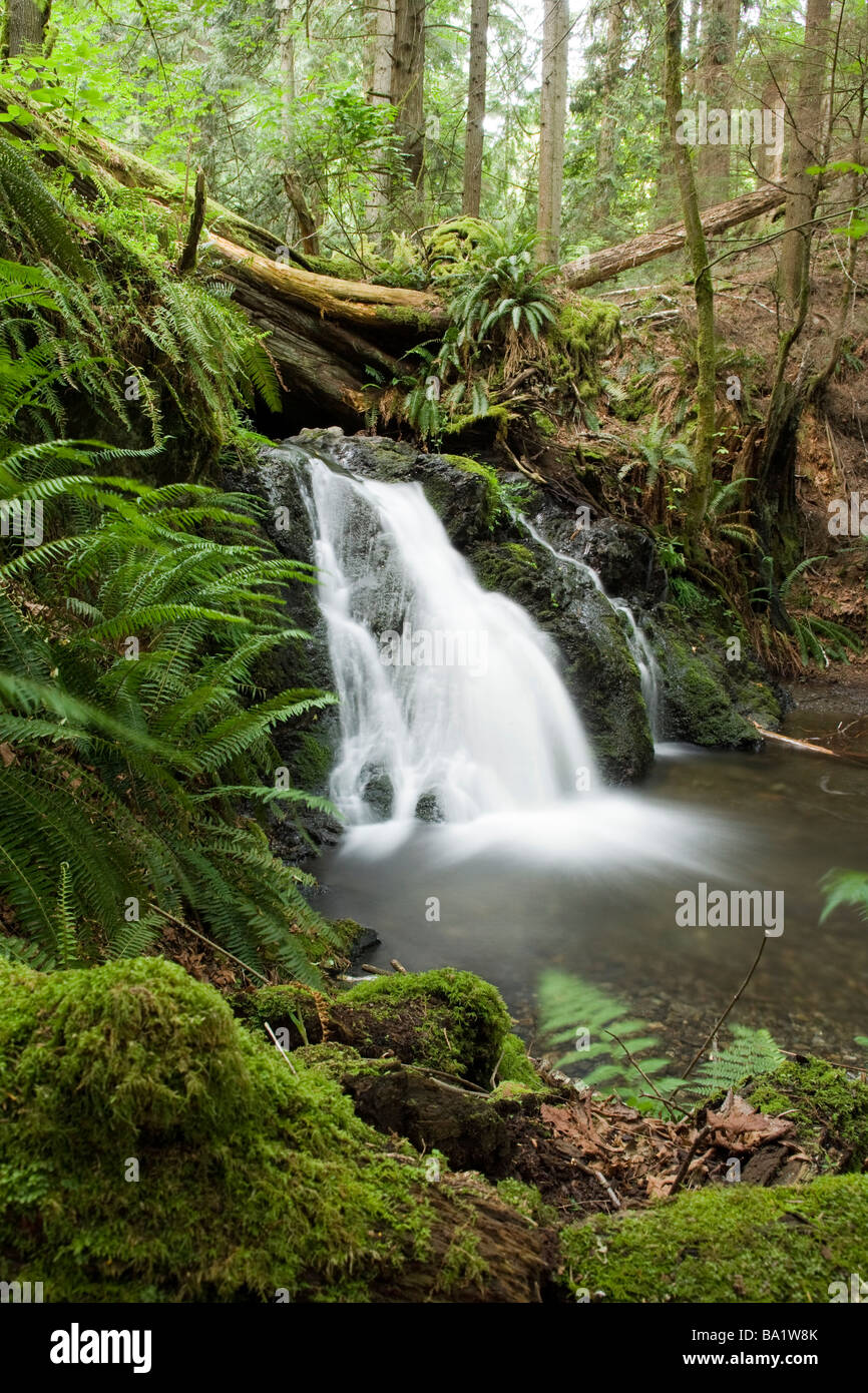 Waterfall - Moran State Park, Orcas Island, Washington Banque D'Images