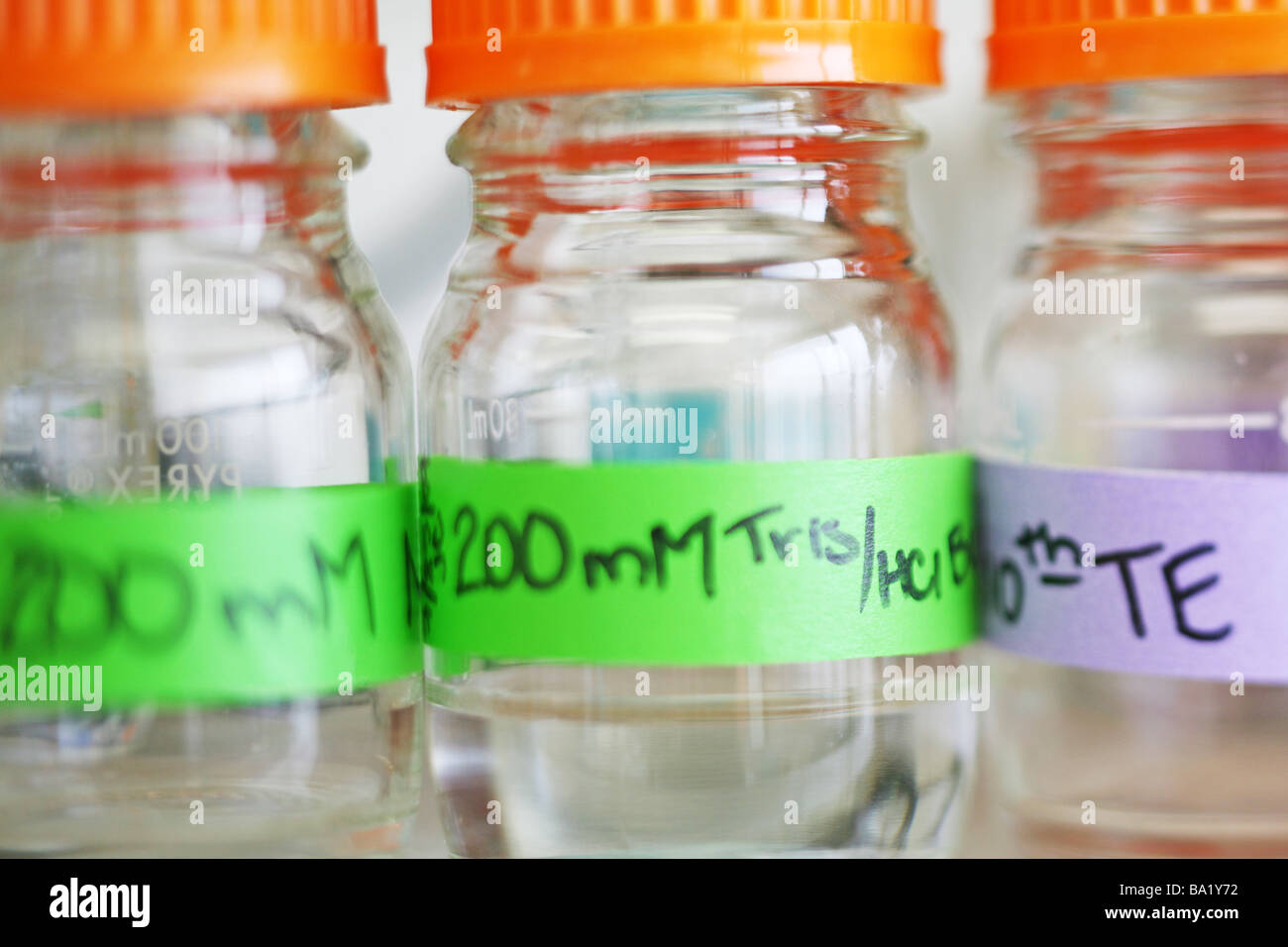 La recherche scientifique génome génétique biotechnologie recherche Laboratoire de biologie moléculaire de la séquence d'ADN dans un tube d'échantillonnage de pipette Banque D'Images