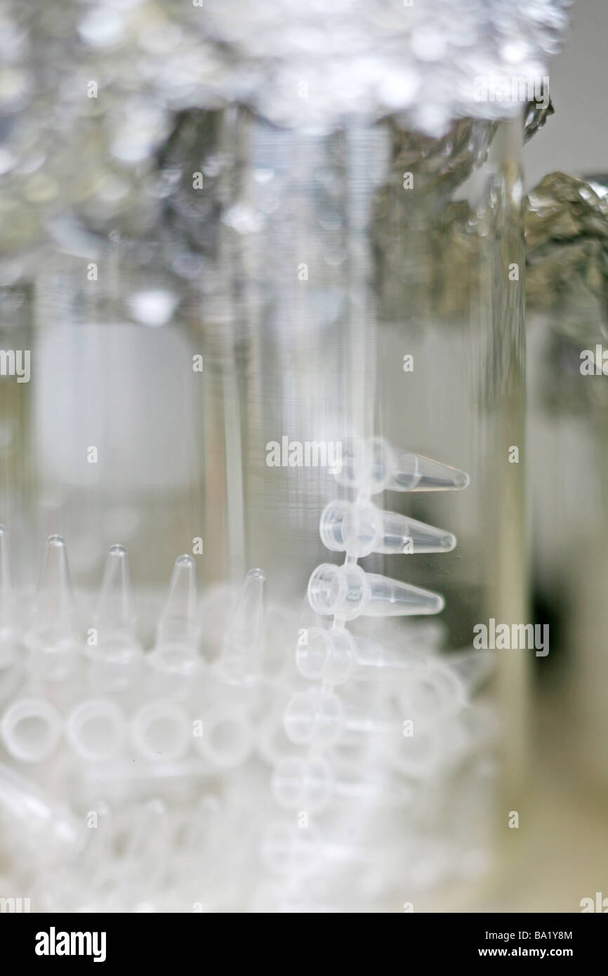 Tubes PCR à l'Autoclave dans le pot à la recherche scientifique génome génétique biotechnologie recherche Laboratoire de biologie moléculaire de la séquence d'ADN Banque D'Images