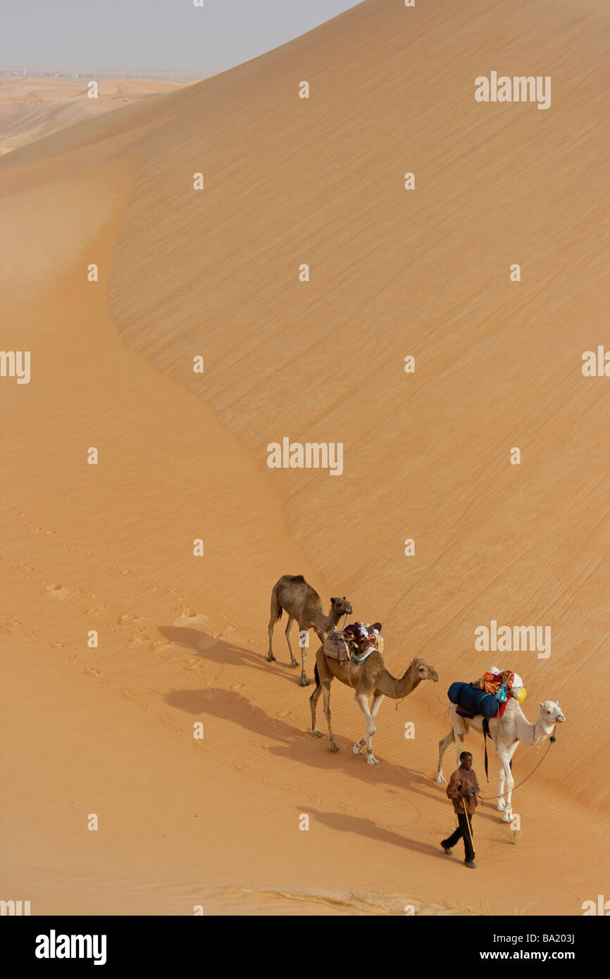 Caravane de chameaux dans les dunes de sable du désert près de Chinguetti Mauritanie Sarhara Banque D'Images