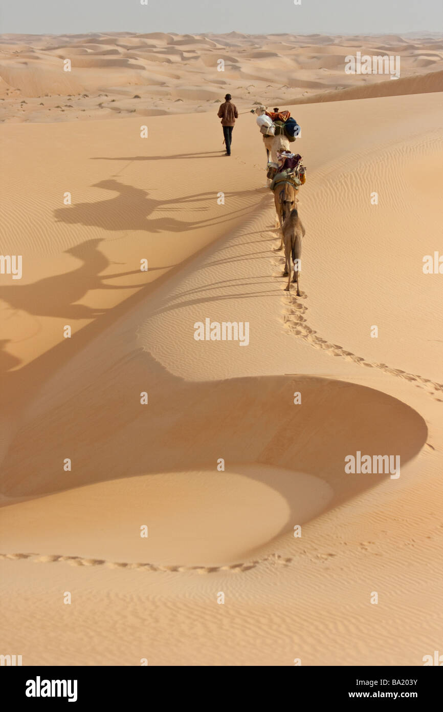 Caravane de chameaux dans les dunes de sable du désert près de Chinguetti Mauritanie Sarhara Banque D'Images