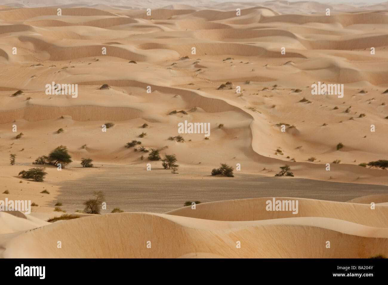 Dunes de sable du désert du Sahara, près de Chinguetti Mauritanie Banque D'Images