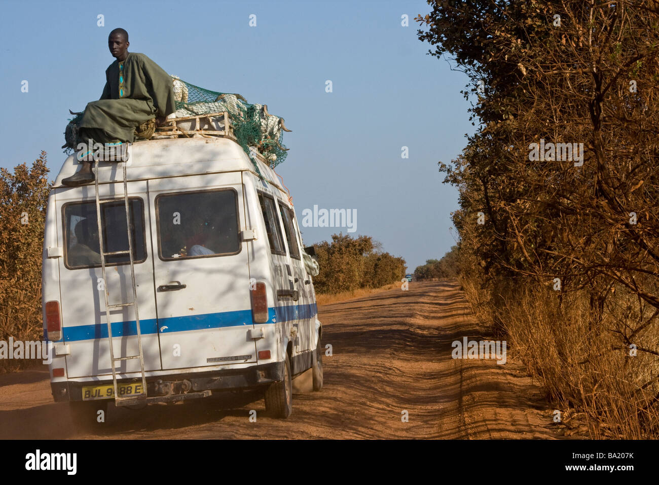 Moutons et bergers à cheval sur le dessus de minibus sur une route de terre au Mali l'Afrique de l'Ouest Banque D'Images
