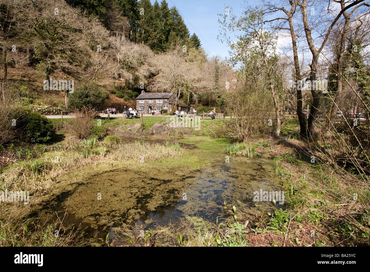 Cafe à raison de Cardinham Woods à Cornwall en Angleterre Banque D'Images