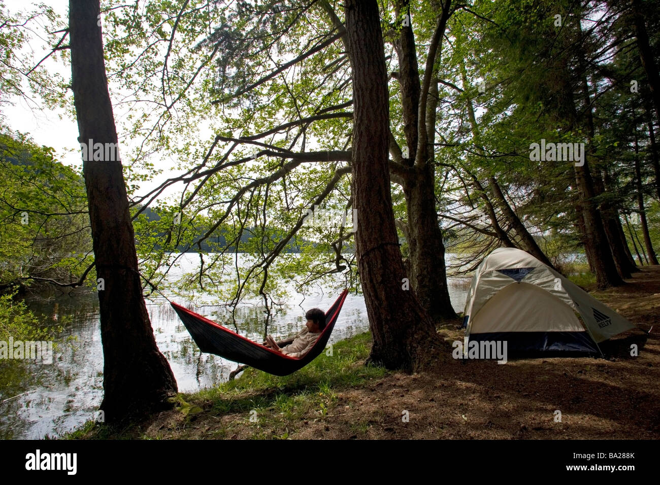 Tente et hamac - Moran State Park, Orcas Island, Washington Banque D'Images