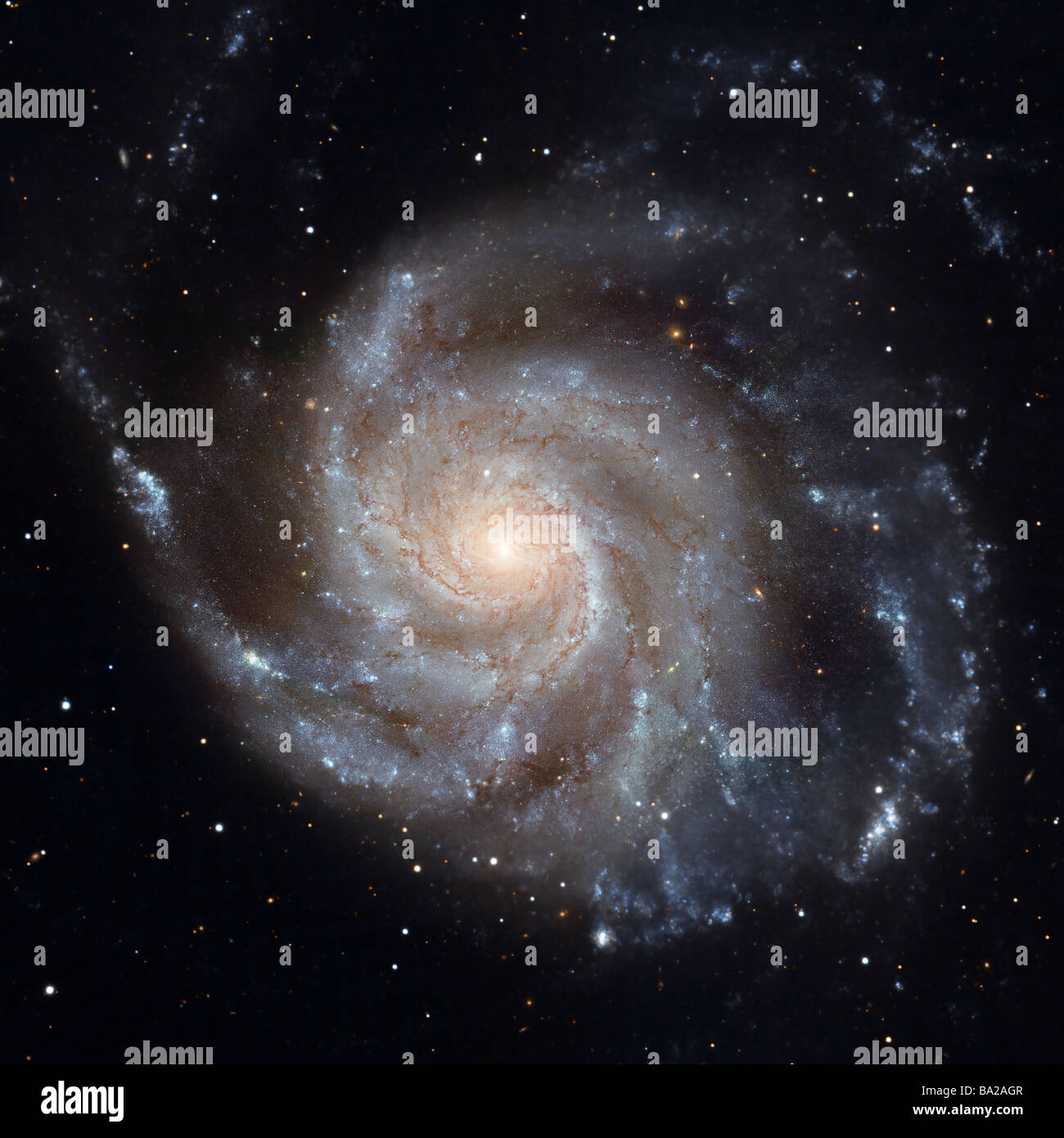 Messier 101, la Galaxie Pinwheel. Banque D'Images