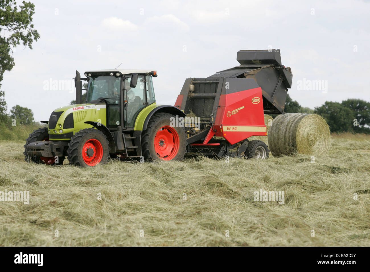 Fait de grosses balles rondes de foin pour l'alimentation des bovins Banque D'Images