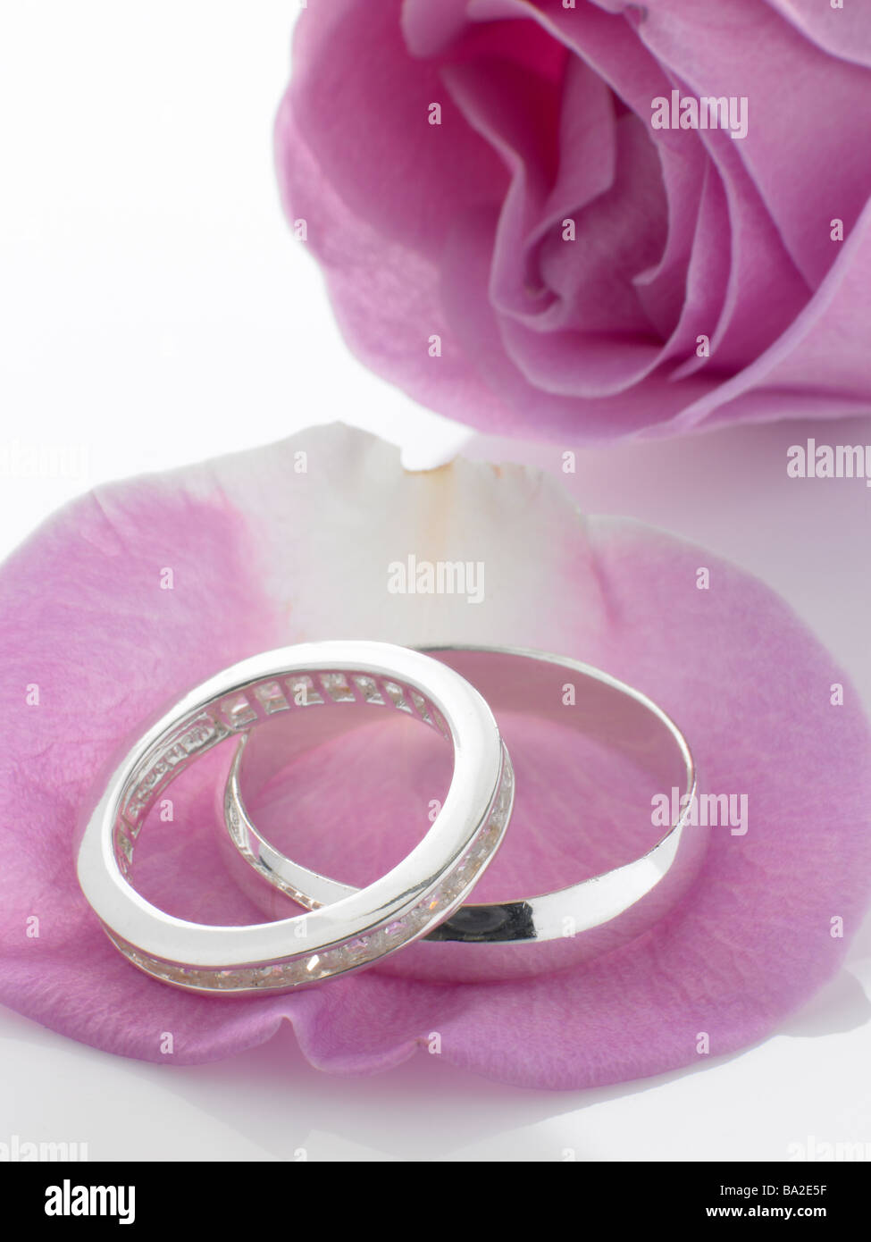 Bagues en argent reposant sur des pétales de rose Banque D'Images