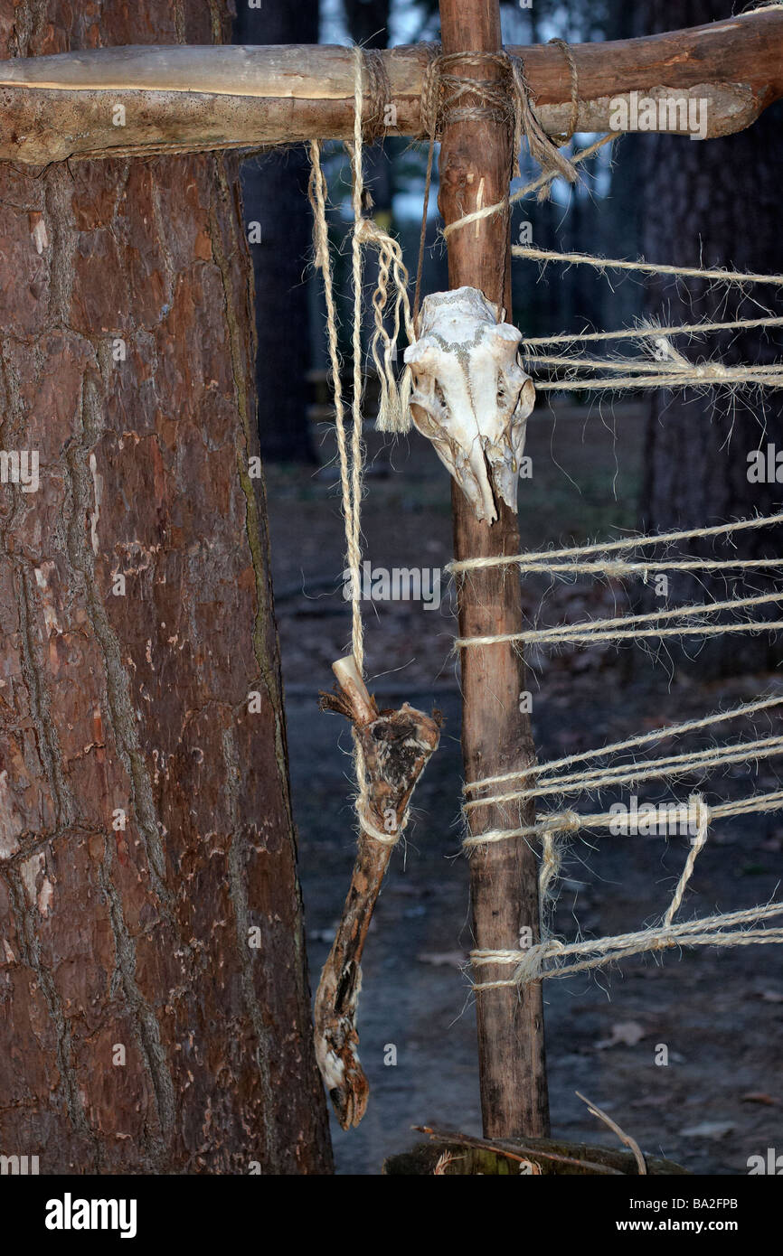 Un chevreuil crâne et os de la jambe dans le village indien Powhatan à l'établissement de Jamestown Williamsburg en Virginie Banque D'Images