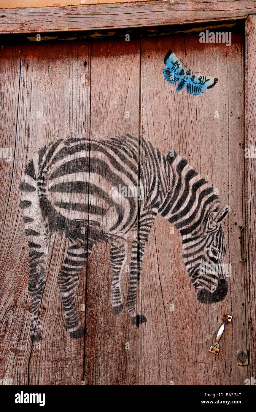 Zebra & Butterfly peint sur porte, Cuba Banque D'Images