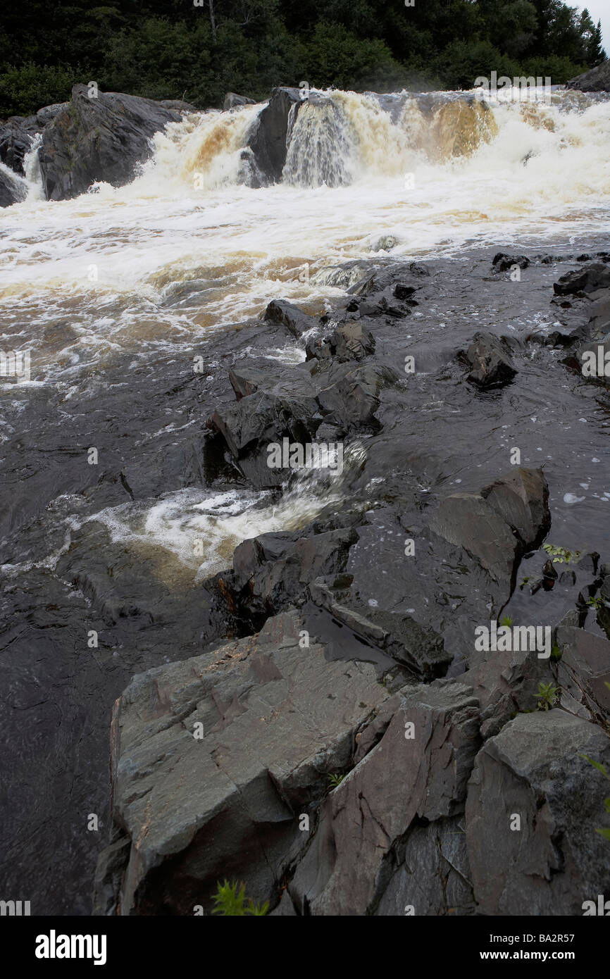 Terre Neuve La Roche Bateaux Pêche Chasse Newfies Baies D