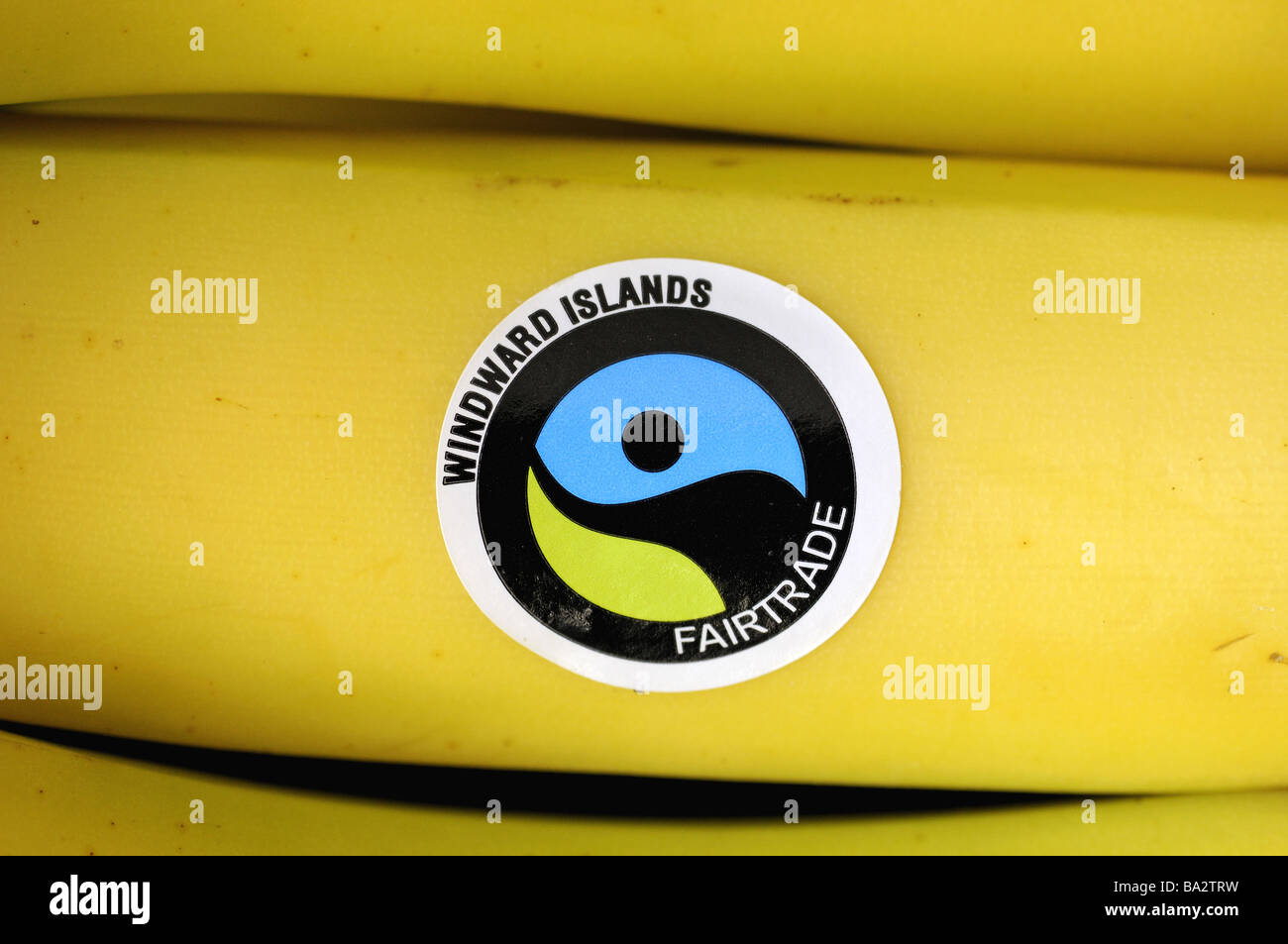 Les bananes du commerce équitable Banque D'Images