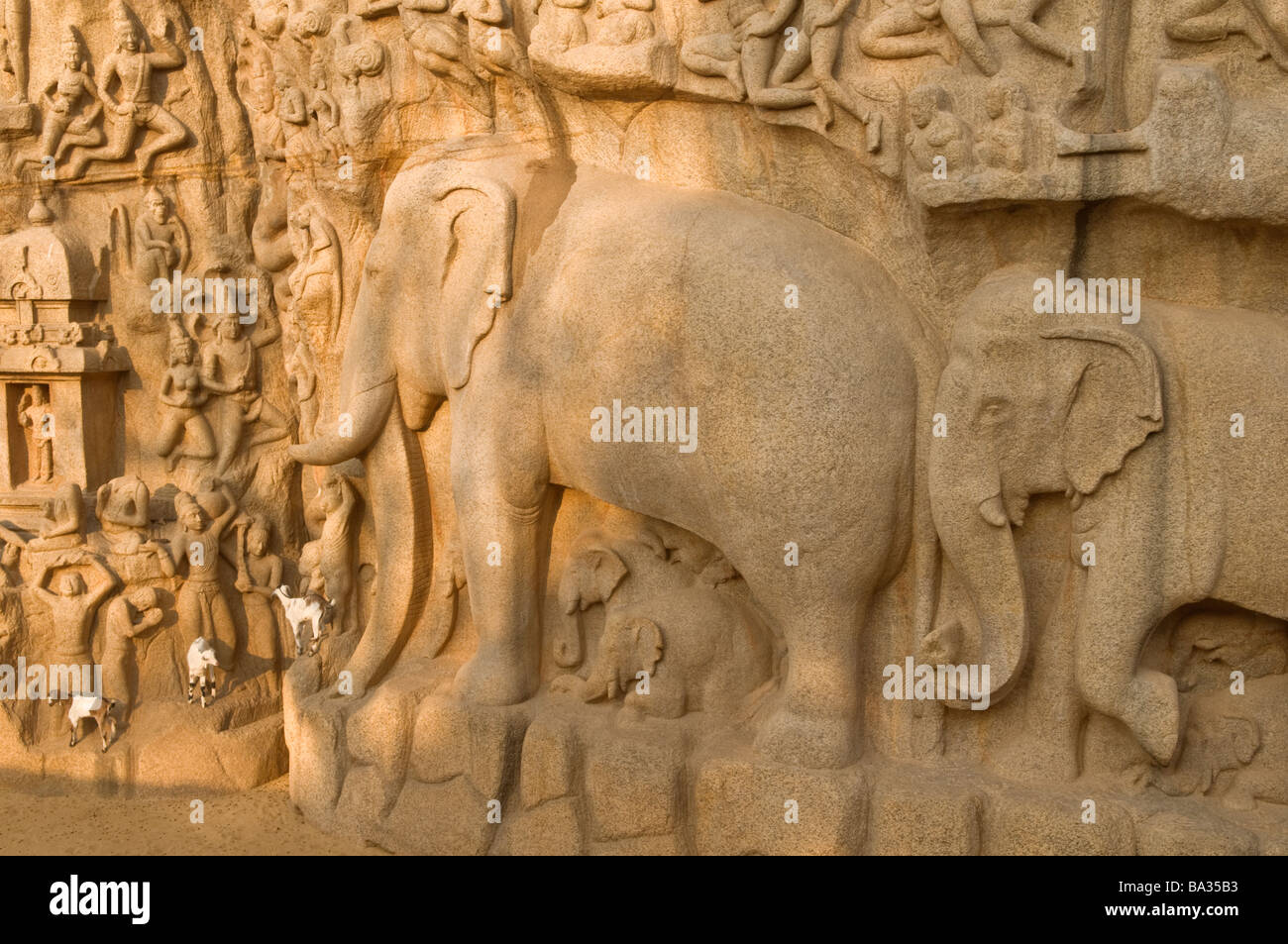 La pénitence d'Arjuna Mahabalipuram Tamil Nadu Inde Banque D'Images