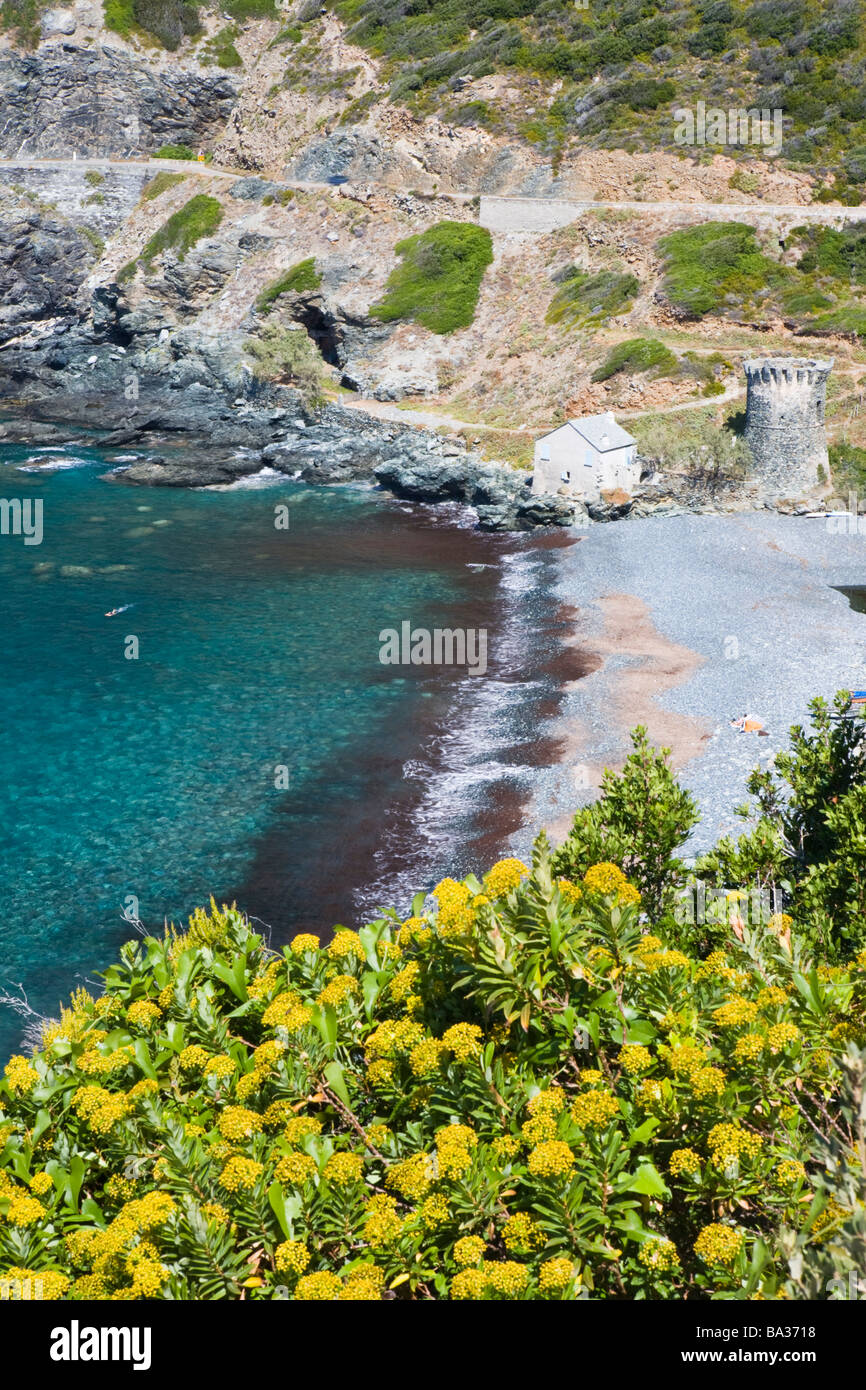 Plage De Galets à La Marine De Negru Cap Corse Corse France