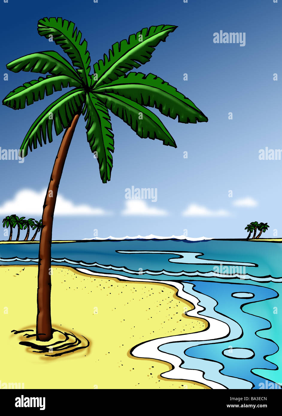 Palm Beach Islands Illustration Graphique De La Mer Plage De