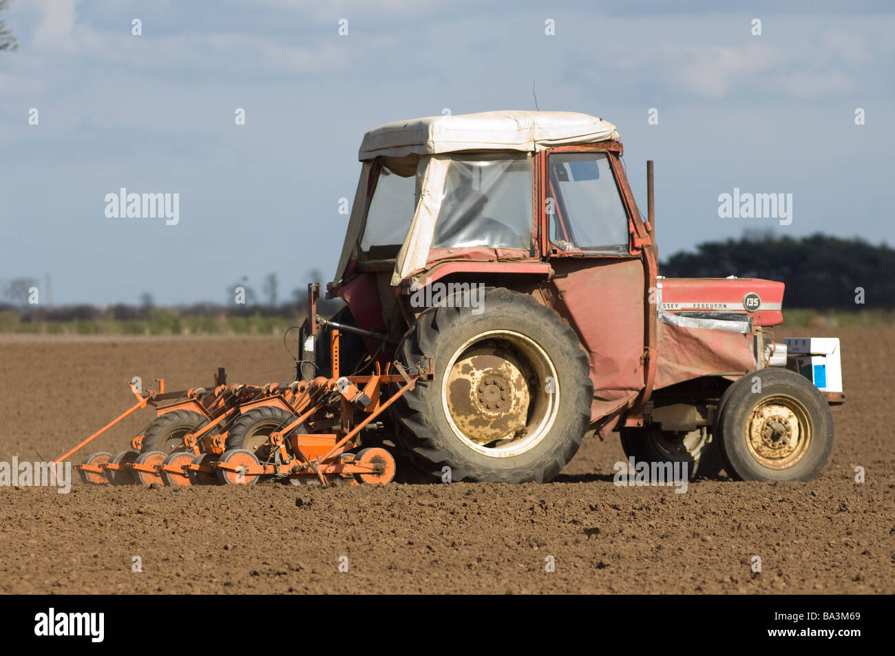 Le tracteur et le semis semoir Precision Drilling betterave fourragère au printemps, North Yorkshire, UK Banque D'Images