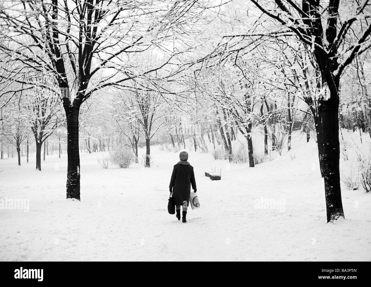 Années 70, photo en noir et blanc, hiver, météo, neige, paysage de neige, parc, arbres, femme plus âgée va pour une promenade, Oberhausen, D-D-Oberhausen-Sterkrade, Ruhr, Rhénanie du Nord-Westphalie Banque D'Images