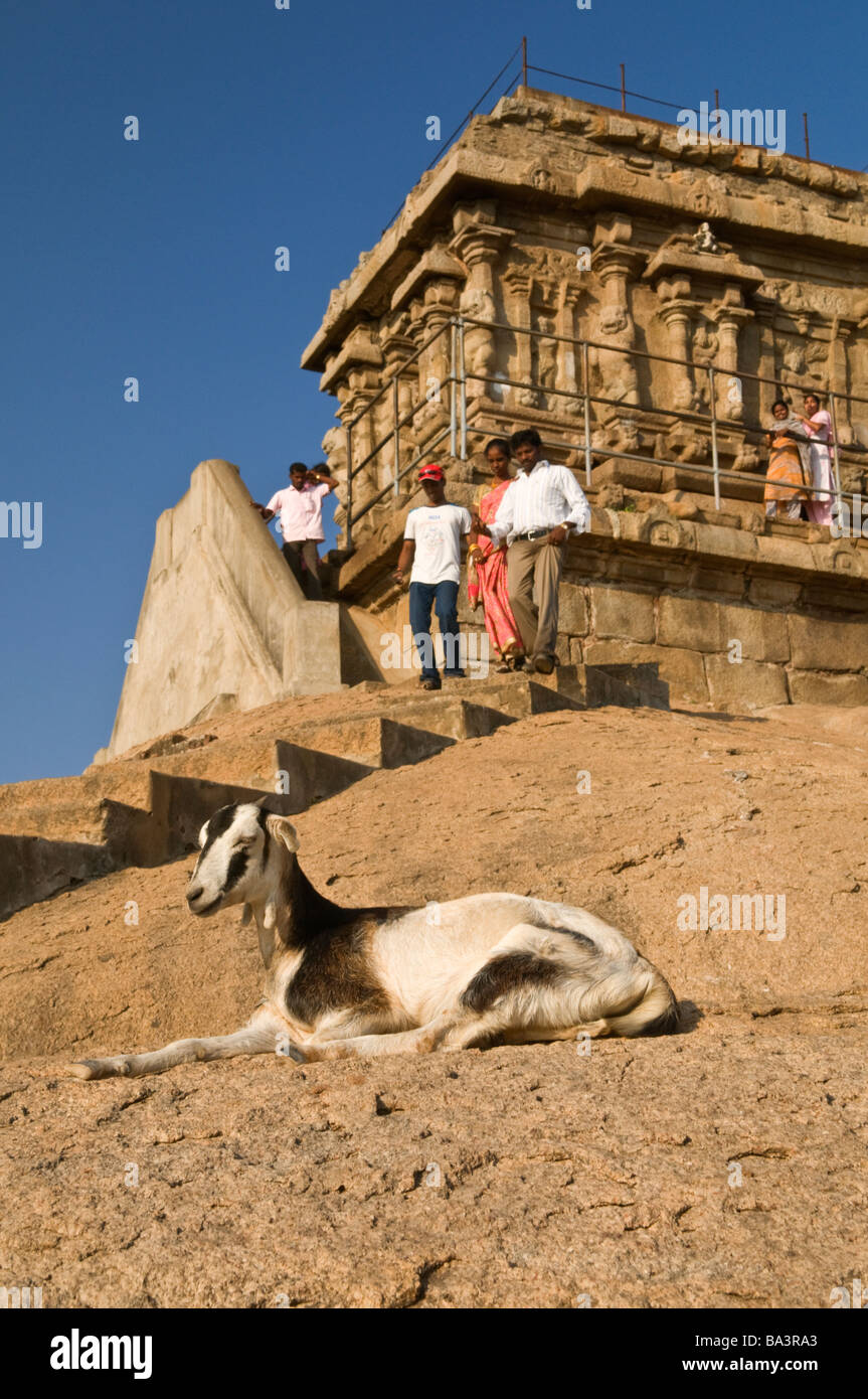 Ancien Phare Mahabalipuram Tamil Nadu Inde Banque D'Images