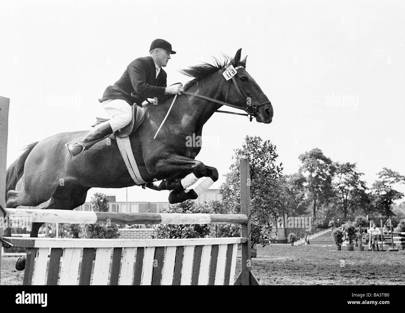 Photo Ancienne Équestre – Saut D’Obstacles, Cavalier, Années 50 – Vintage USA