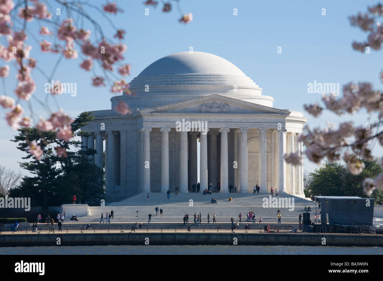 Jefferson Memorial, Washington, DC, avec cerisiers en fleurs. Banque D'Images