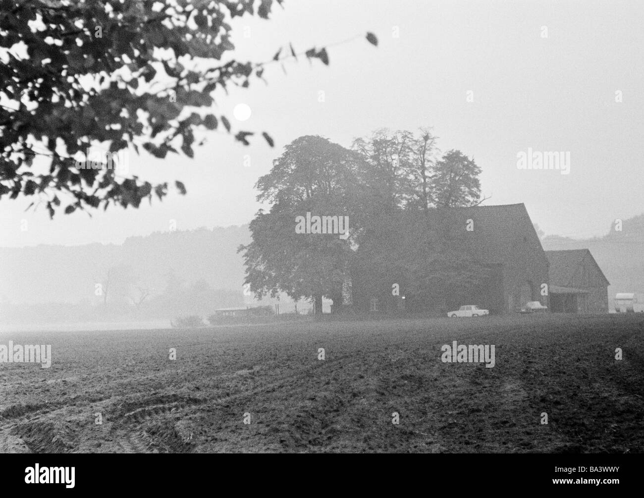 Années 70, photo en noir et blanc, l'automne, l'humeur du soir, le coucher du soleil, la brume sèche, ferme, le sol, le D-Bottrop, Ruhr, Rhénanie du Nord-Westphalie Banque D'Images