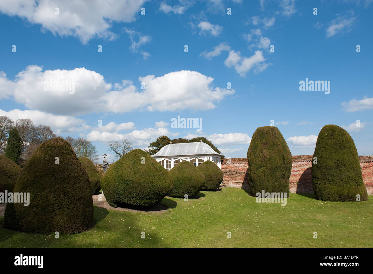 Topiaires d'ifs, Yorkshire, Angleterre, 'Grande-bretagne' 'Royaume-Uni' Banque D'Images