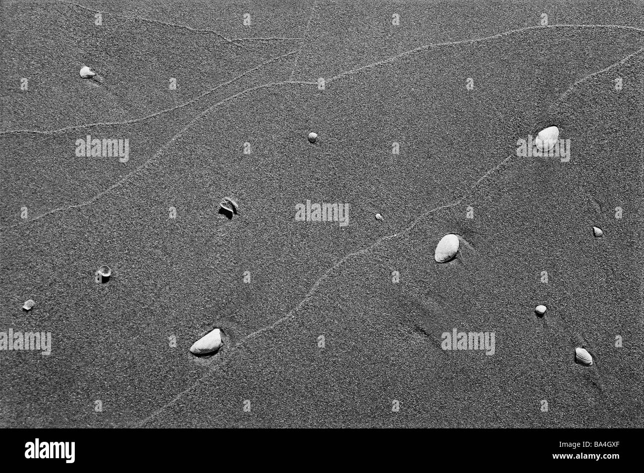 Plage de sable de moules humide s/w coast shores zur Dicken Eiche plage gloomily héroes pelures de moules reste vers le rivage Banque D'Images