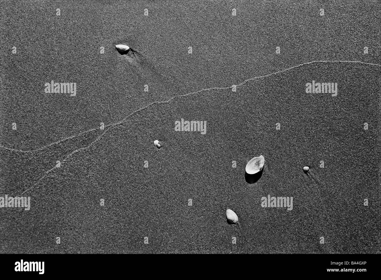 Plage de sable de moules humide s/w coast shores zur Dicken Eiche plage gloomily héroes pelures de moules reste vers le rivage Banque D'Images