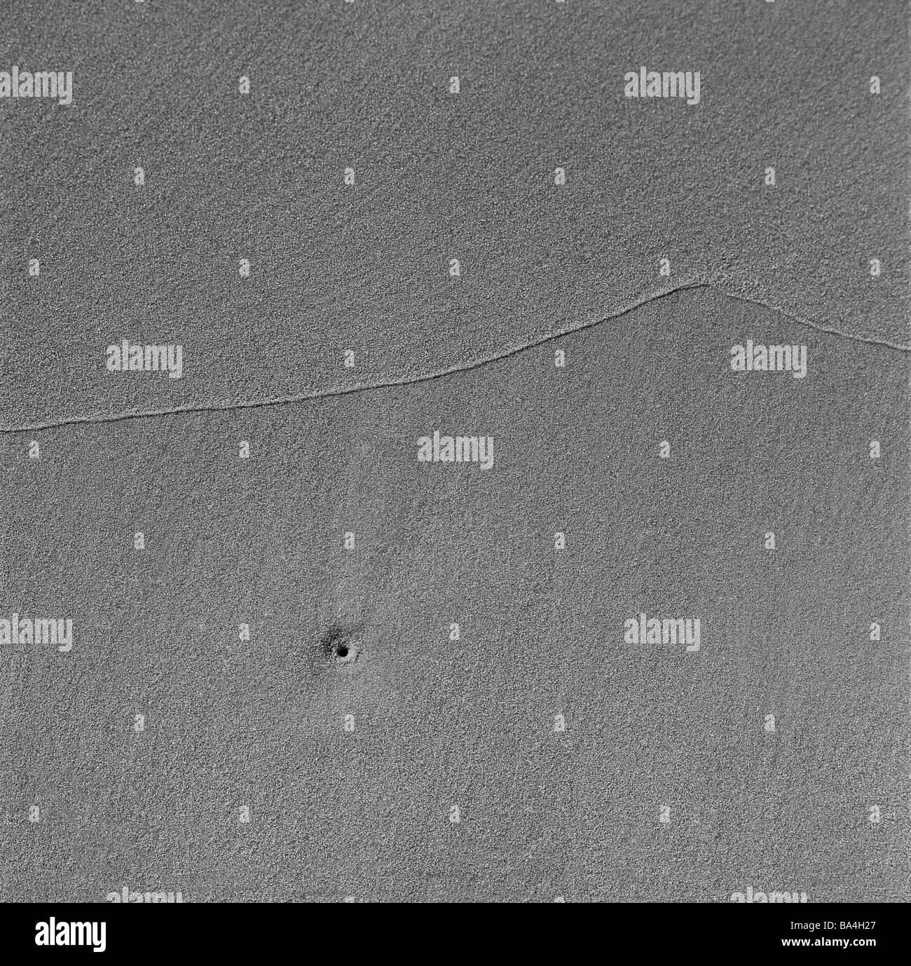 Beach close-up humide sable s/w coast shores zur Dicken Eiche plage de trou de ver structure gloomily ligne nature vie tranquillement Banque D'Images