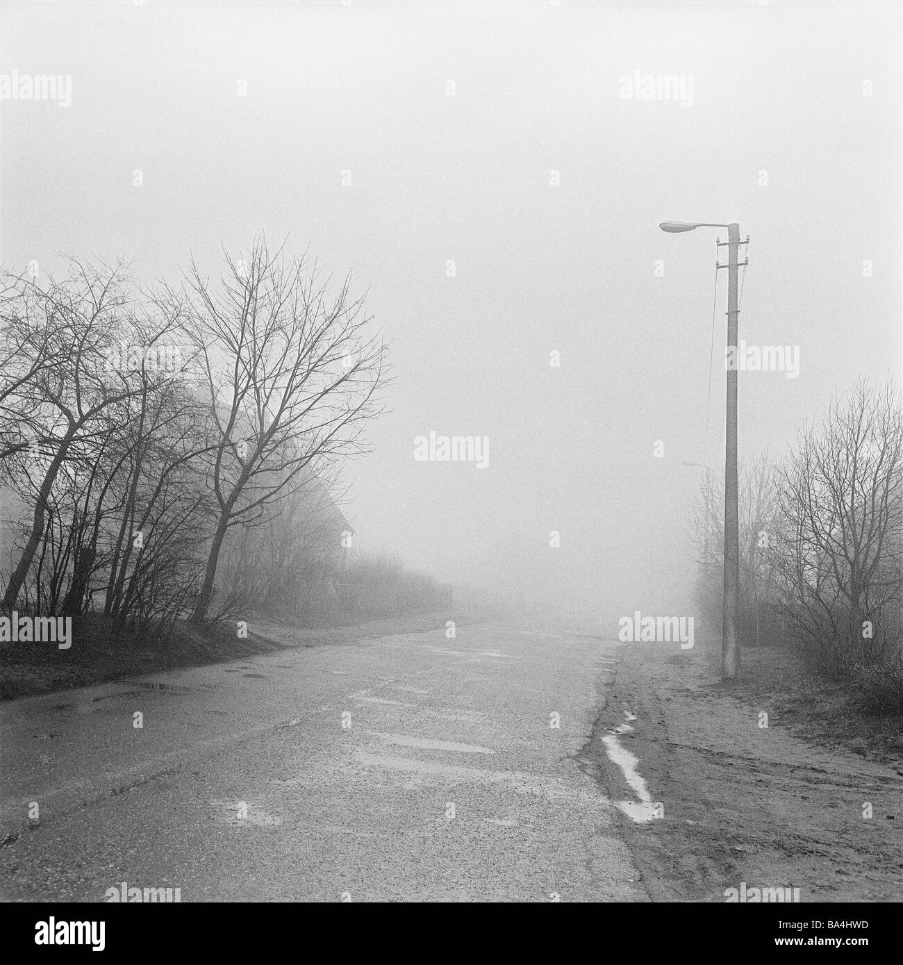 La Lituanie Klaipeda village-rue chambre arbres automne brouillard streetlight chauve s/w Memel country road street invisiblement rural Banque D'Images