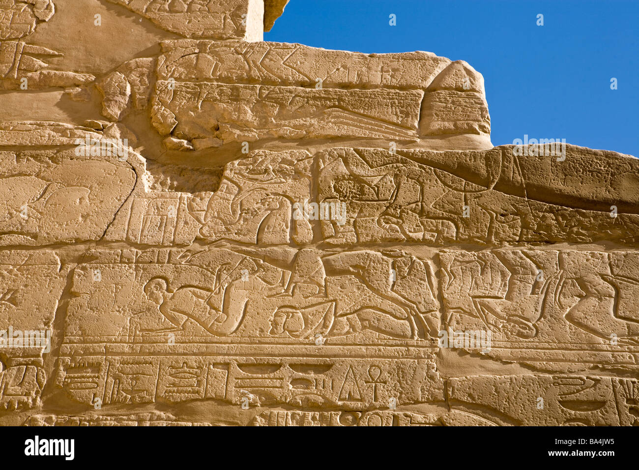 Détail de la paroi d'Ashkelon à Karnak Temple, Luxor Egypte Banque D'Images