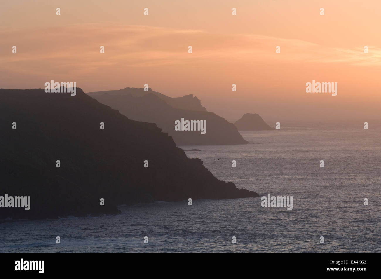 Coucher de Skomer Island, Pembrokeshire Wales UK Europe Banque D'Images