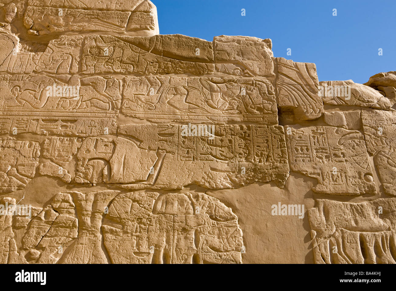 Détail de la paroi d'Ashkelon à Karnak Temple, Luxor Egypte Banque D'Images