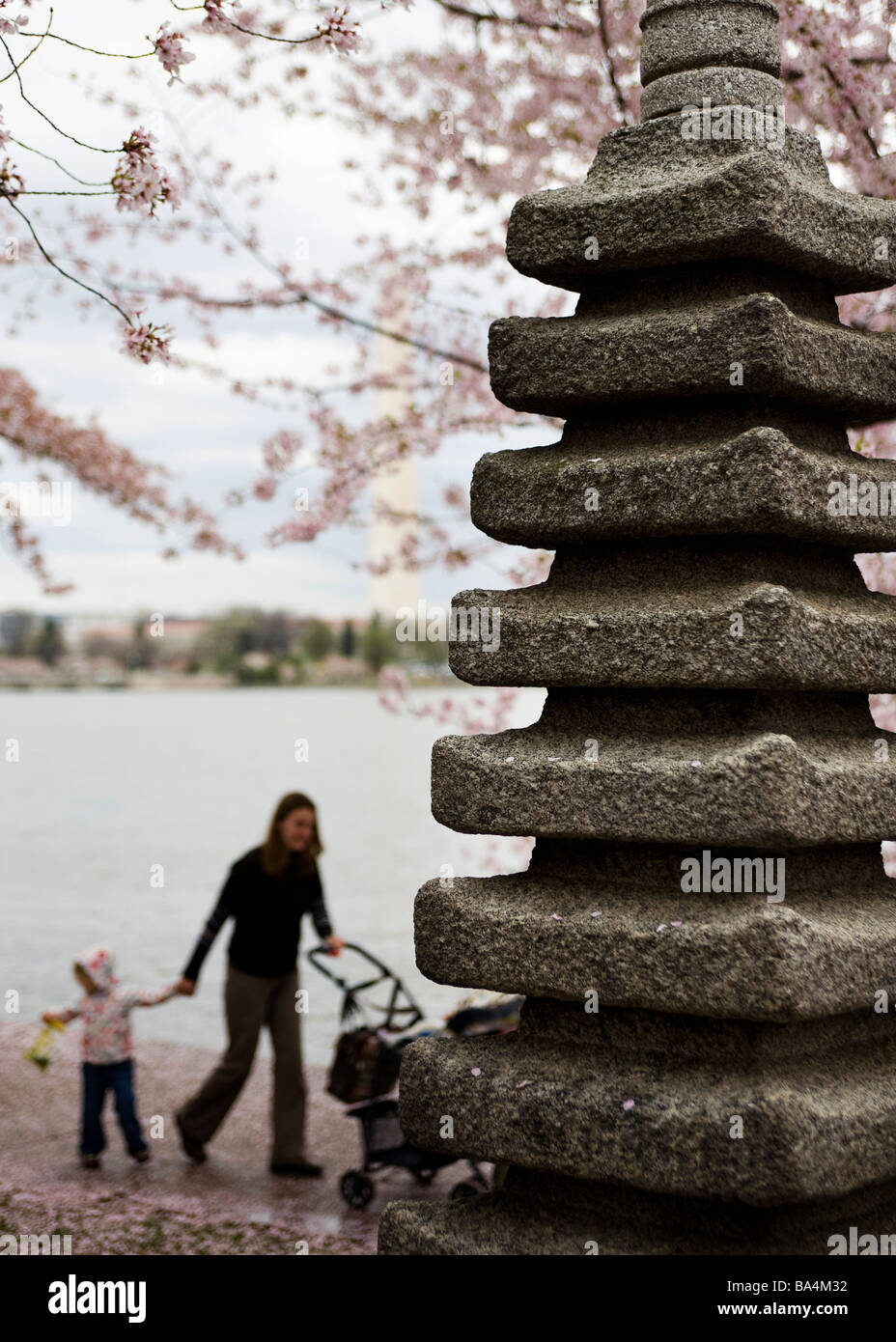 Une pagode japonaise sous les cerisiers en fleurs Banque D'Images