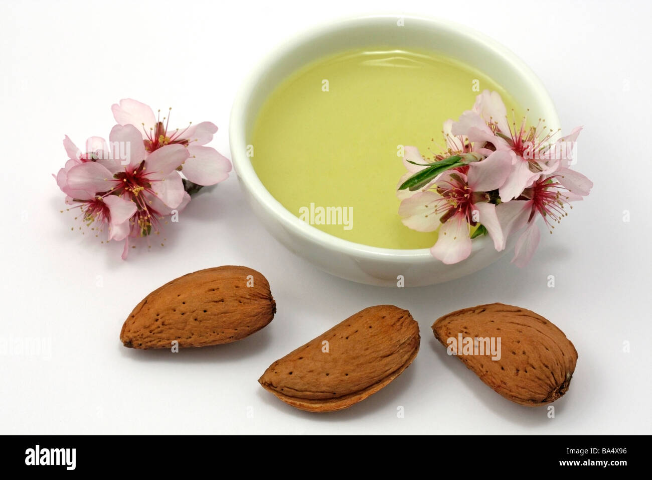 L'huile d'Amandes Amygdalus communis Prunus dulcis ou Banque D'Images