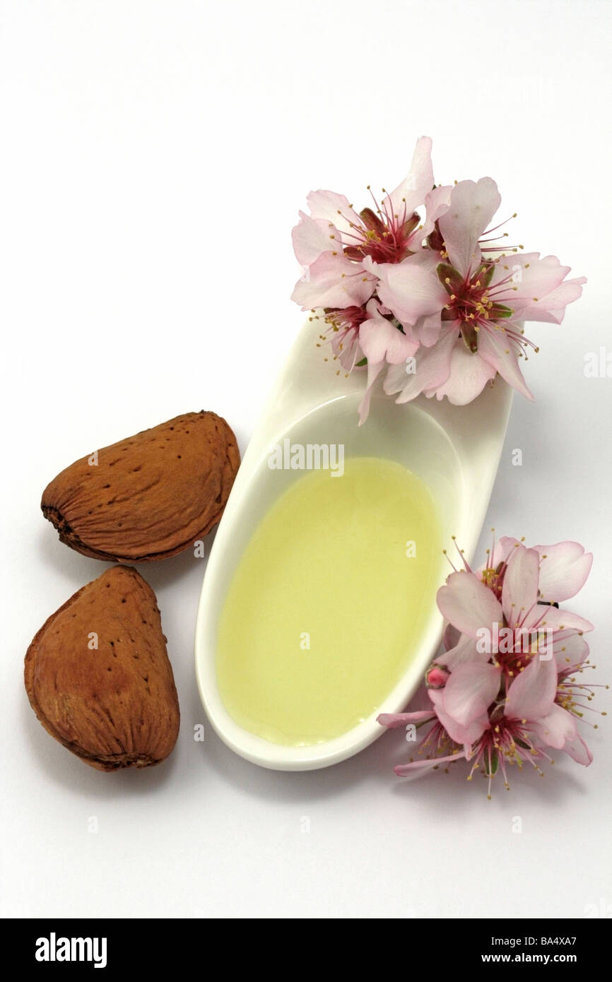 L'huile d'Amandes Amygdalus communis Prunus dulcis ou Banque D'Images