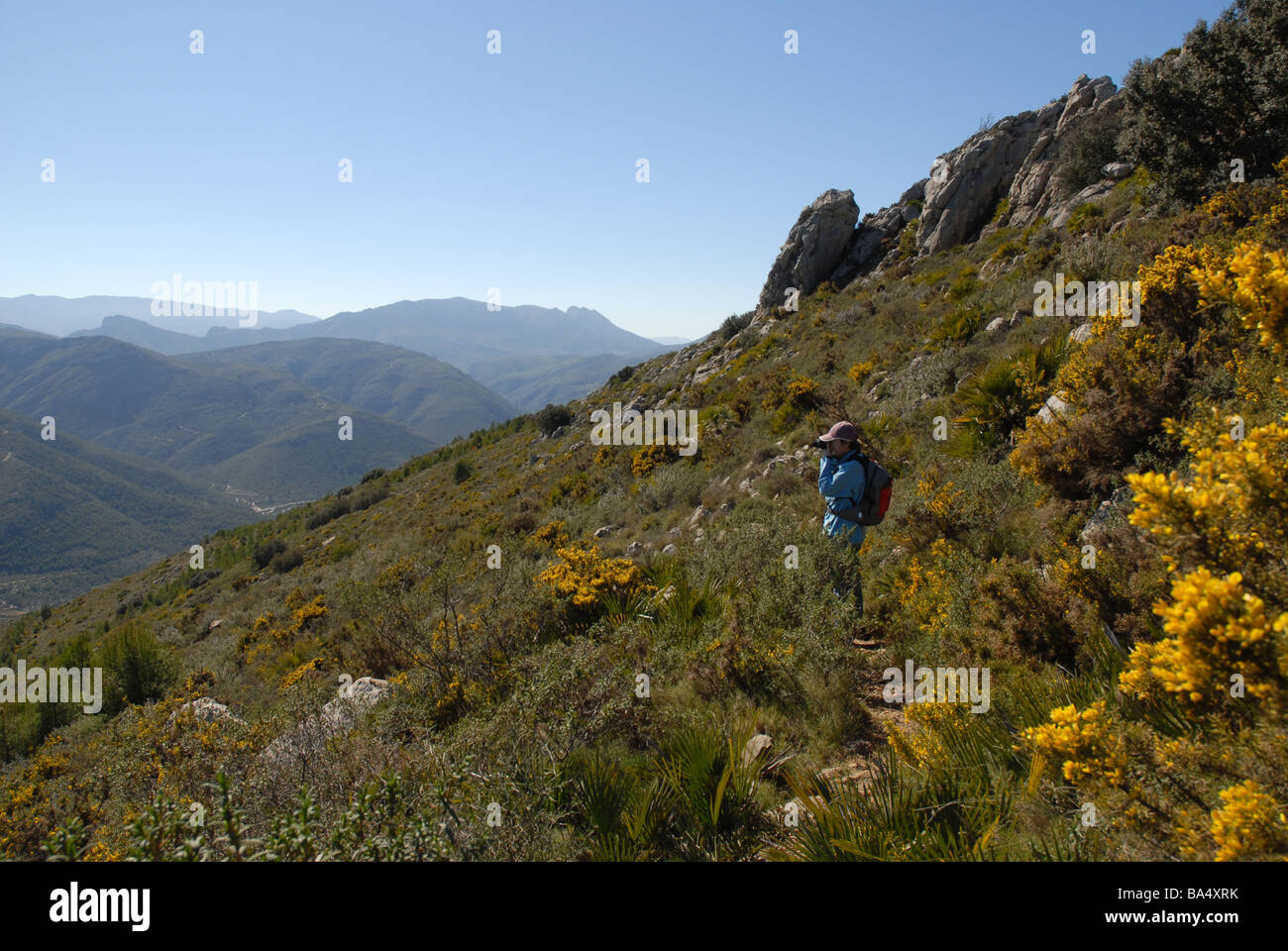 Femme randonneur sur la Sierra del Pényo, près de Benimaurell, Vall de Laguar, province d'Alicante, Communauté Valencienne, Espagne Banque D'Images